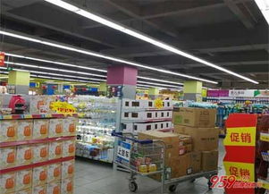 投資辦什么廠投資小利潤大？三大低投入高回報的創業項目解析